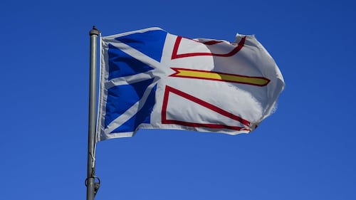 Newfoundland man says a public office buried his sister without telling him