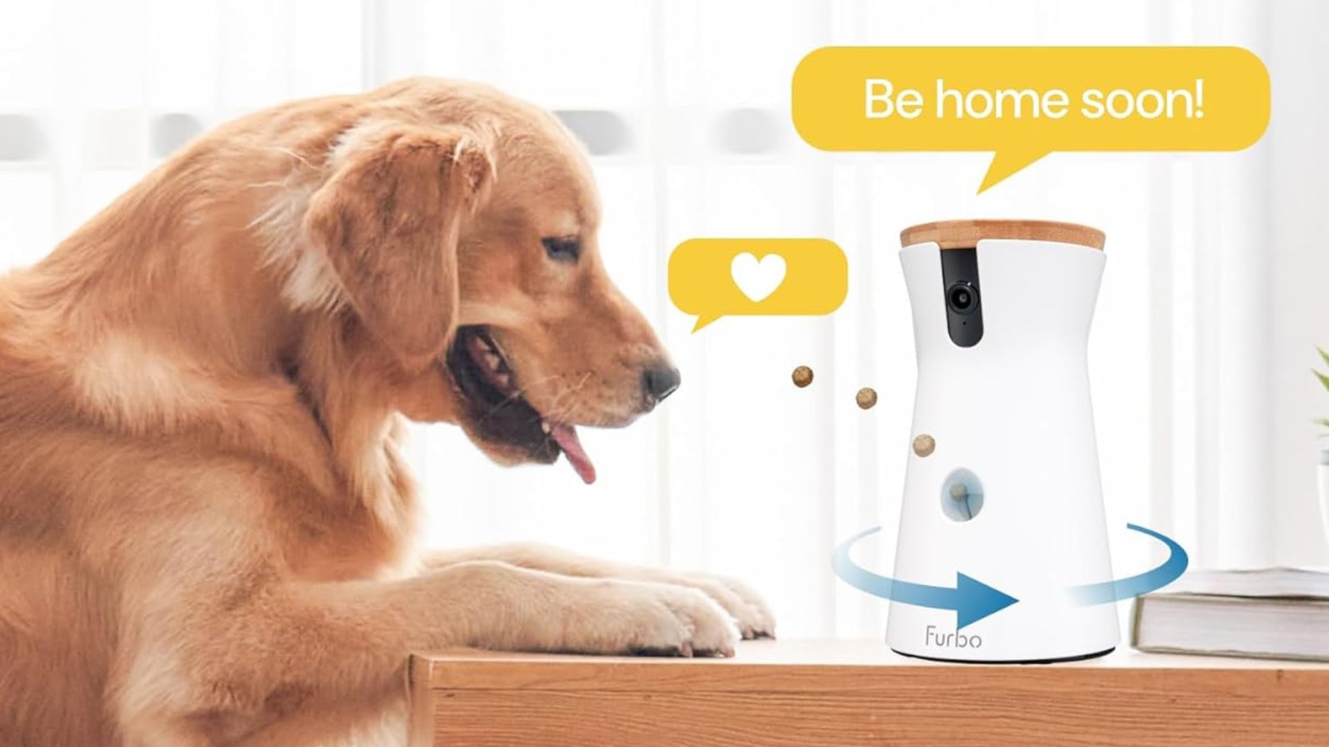 This Pet Camera Allowed Me To Finally See What My Dog Got Up To When I Left The House (And It’s On Sale Right Now!)