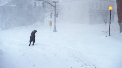 Blizzard warning issued for Newfoundland's Avalon Peninsula
