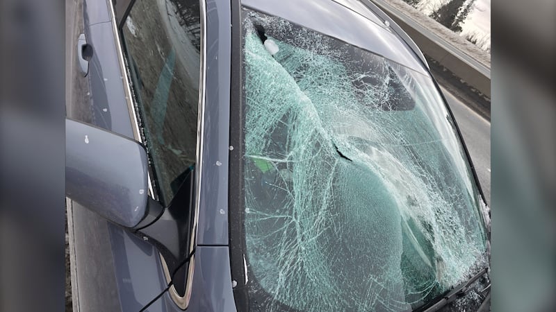 N.S. woman sounds alarm about clearing snow off vehicles after ‘terrifying’ incident  