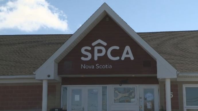 Nova Scotia SPCA building is pictured in this file photo.