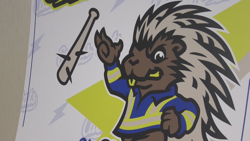 Prospects no more: Energy City Cactus Rats new name for area baseball team