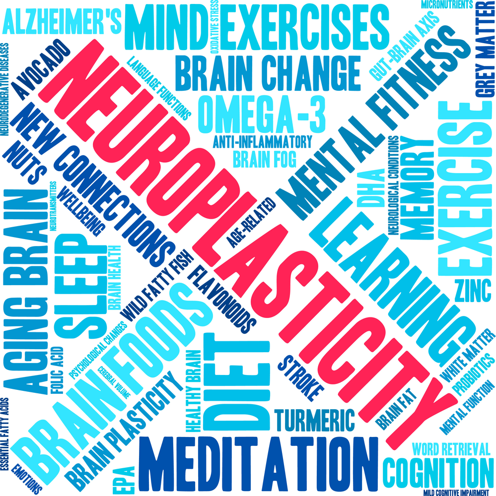 neuroplasticity, learning