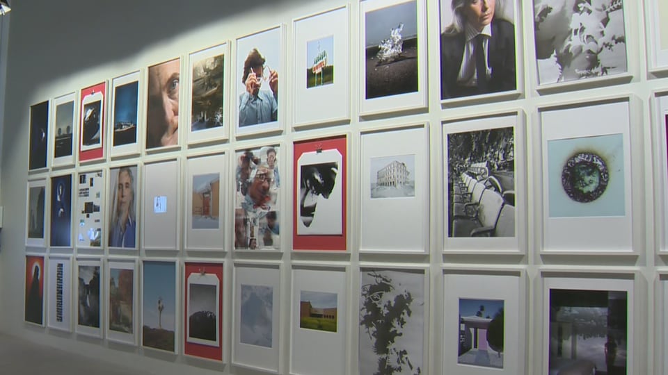 MUSE Visual Exhibition 1-4