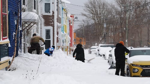 February blizzard hits Newfoundland with 40 cm of snow