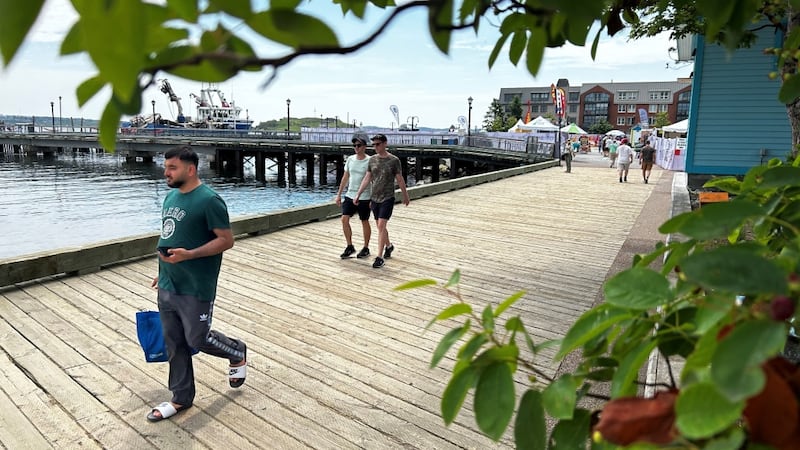 Halifax Kids’ Guide shares list of family-friendly activities 